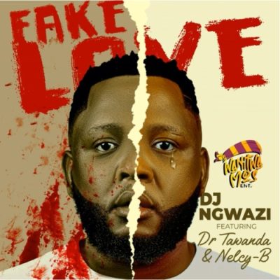 DJ Ngwazi Fake Love Mp3 Download