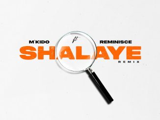 M'kido – Shalaye (Remix)