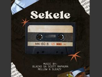 Blacko SA – Sekele