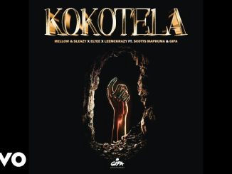 Mellow – Kokotela