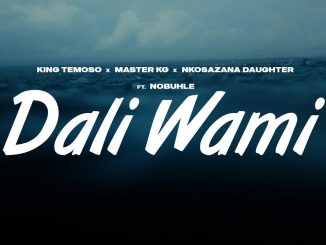 King Temoso x Master KG – Dali Wami