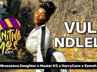 SwitchPulse – WanitwaMos x Nkosazana Daughter & Master KG -Mfazi We Phepha feat.BigZulu & ZeeNxumalo (Instrumental