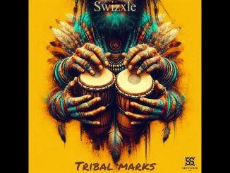 Swizxle – Swizxle_-_Tribal marks (Teaser)