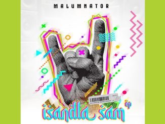 The King Of Amapiano – MalumNator - Ng'khuzeni (Official Audio) feat. Scotts Maphuma