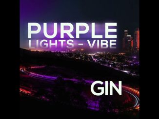 The Real Gin – GIN - Purple Lights (Vibe)