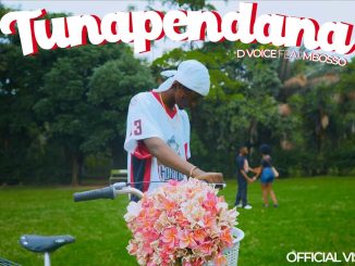 D-voice – Tunapendana