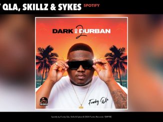 Dlala Thukzin – Funky Qla, Skillz & Sykes - Spotify (Official Audio)