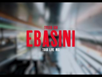 LeeMcKrazy – Ebasini