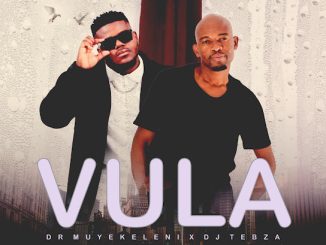 Dr Muyekeleni – Vula