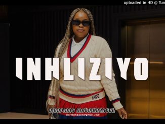 Harmishbeats – Kabza De Small, Dj Maphorisa, Djstokie ft NkosazanaDaughter & Boohle - inhliziyo Amapiano typebeat