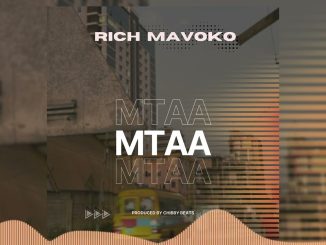 Rich Mavoko – Rich Mavoko - Mtaa (Official Audio)