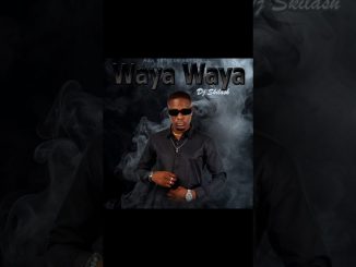 Dj Skilash Bw – @djskilash - Waya Waya