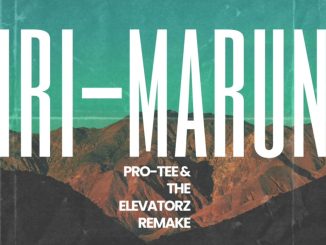 PRO TEE RELOADED – Biri Marung (Cash Kontent)(Pro-Tee & The Elevatorz Remake)