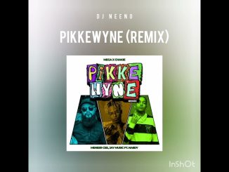 DJ Dinges – DJ Neeno - Pikkewyne (Remix)