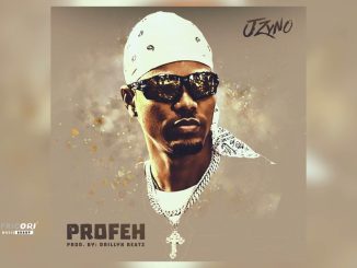 JZyNO – Profeh