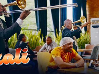 Dully Sykes – Dully Sykes & Alikiba - Zali (Visualiser)