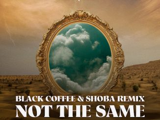 Nitefreak – Not The Same (Black Coffee feat. Shoba Remix)