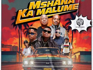 Vetkuk – Mshana Ka Malume