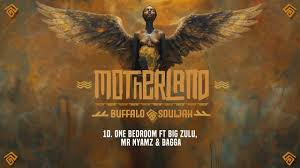 Buffalo Souljah Ft Big Zulu, Mr. Nyamz & Bagga - One Bedroom