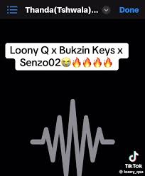 Bukzin keys × Senzo02 × LoonyQ - Thanda (Tshwala)