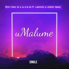 Dj 9.8 SA - uMalume Song