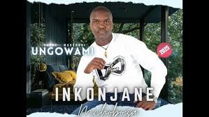 Inkonjane Mchoboza - Ungowami ( Feat. LONDEKA SHANGASE )