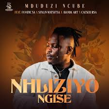 Mduduzi ncube – Nhliziyo ngise