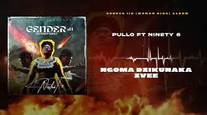 Nisha Ts - Pullo ft. Ninety6
