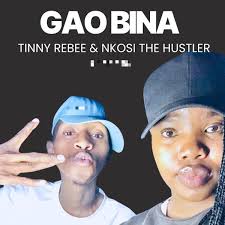  Nkosi The Hustler SA ft Tinny Rebee - Gao Bina  