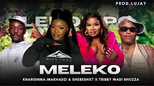Shebeshxt feat Kharishma & Tribby wadi bhozza (feat Makhadzi) – Sechaba