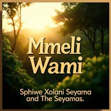 Sphiwe Xolani Seyama – Mmeli Wami