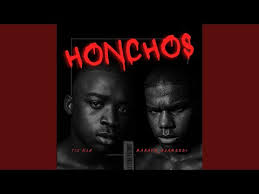 TIS RSA - Honchos (feat. MABAYA ASAMBENI)