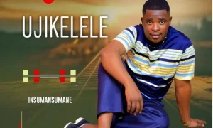 Ujikelele – Inkomo Yobuthongo
