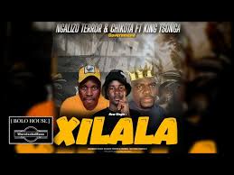 Xilala - NGALIZO TERROR & CHIKOTA feat King Tsonga