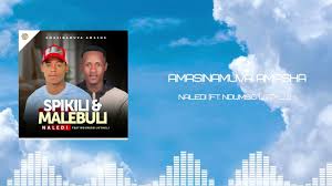 Amasinamuva Amasha ft. Ndumiso Luthuli – Naledi