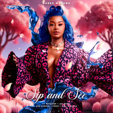 Babes Wodumo, Madanon & Jay Music ft Don Edward, Frost, Sk & Sundile – Sip and See