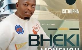 Bheki Mshengu – NGIPHUPH’ UGOGO