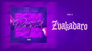 Delroy Shewe - Zvakadaro