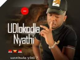 Dlokodla Nyathi – Uzothula Yini? ft. Zinhle