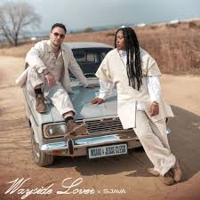 EP: Msaki & Jesse Clegg – Entropy