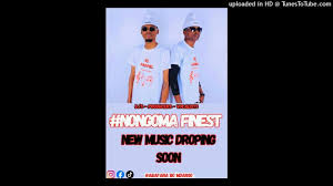 Kabza de Small & Sly-Incwadi Yenduduzo (Nongoma Finest Remix) Feat. Thatohatsi & Shino Kikai