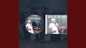 Mxolisi Mr Bones Ezehumutsha - Inzwisa Track 4 (2025)