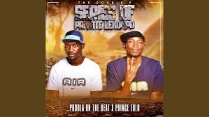 Phobla on the beat & Prince Zulu – Matepe Hala Hitt