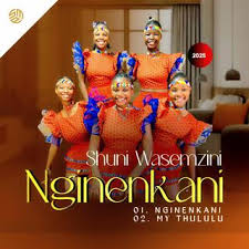 Shuni waseMzini – Nginenkani Ep