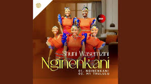 Shuni waseMzini – Nginenkani