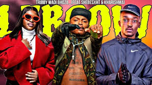 Tribby Wadi Bhoza_(Feat Shebeshxt X Kharishma & Naqua) - LEBCOW