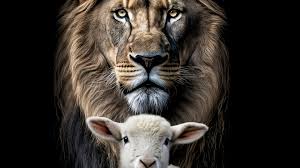 Yanda N - Lion of Judah